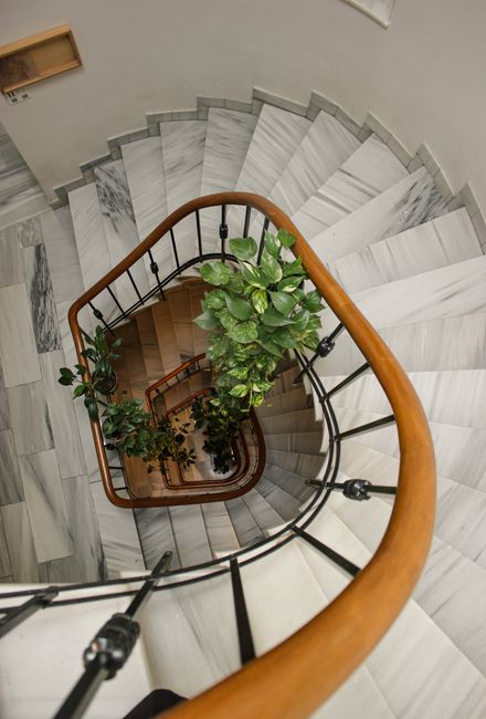 Indoor staircase with two steps leading upwards, painted in dark grey, with yellow and black striped hazard tape along the edges of each step for safety during a home relocation. The surrounding walls
